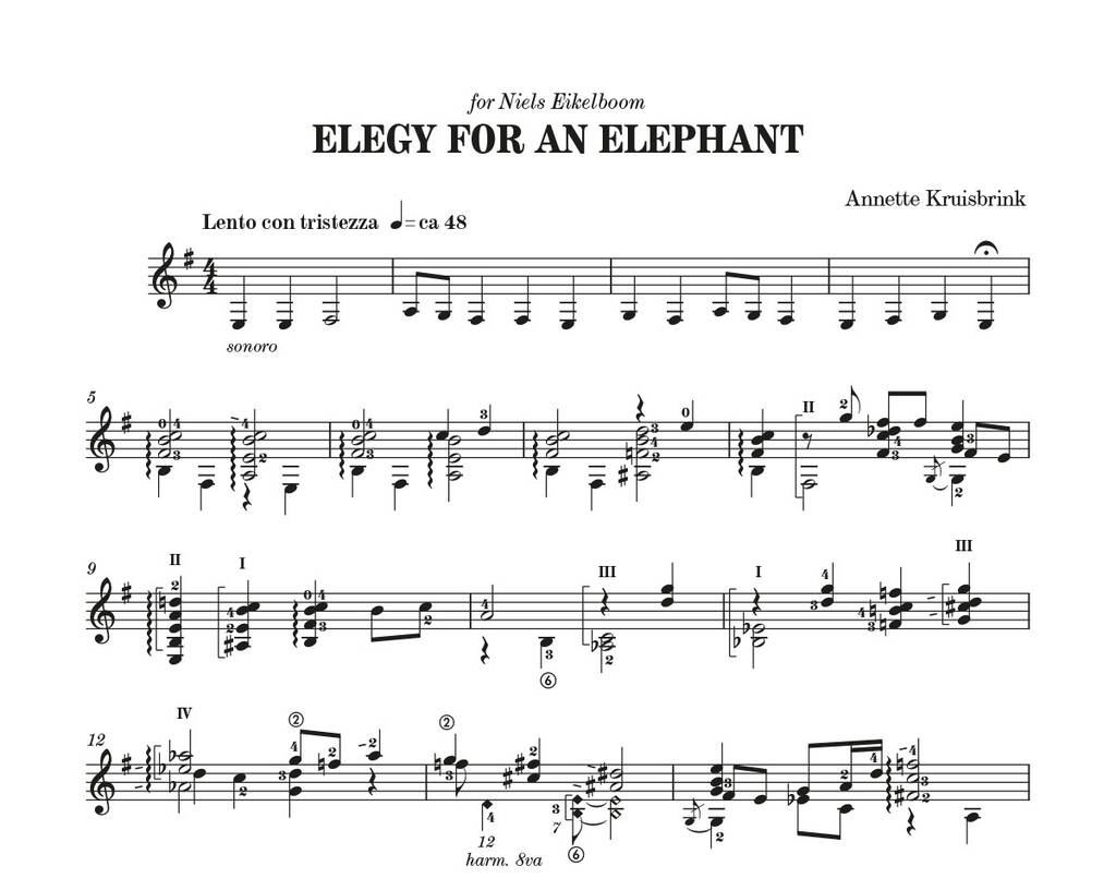 Elegy For An Elephant